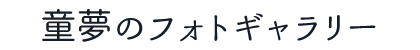 フォトギャラリー