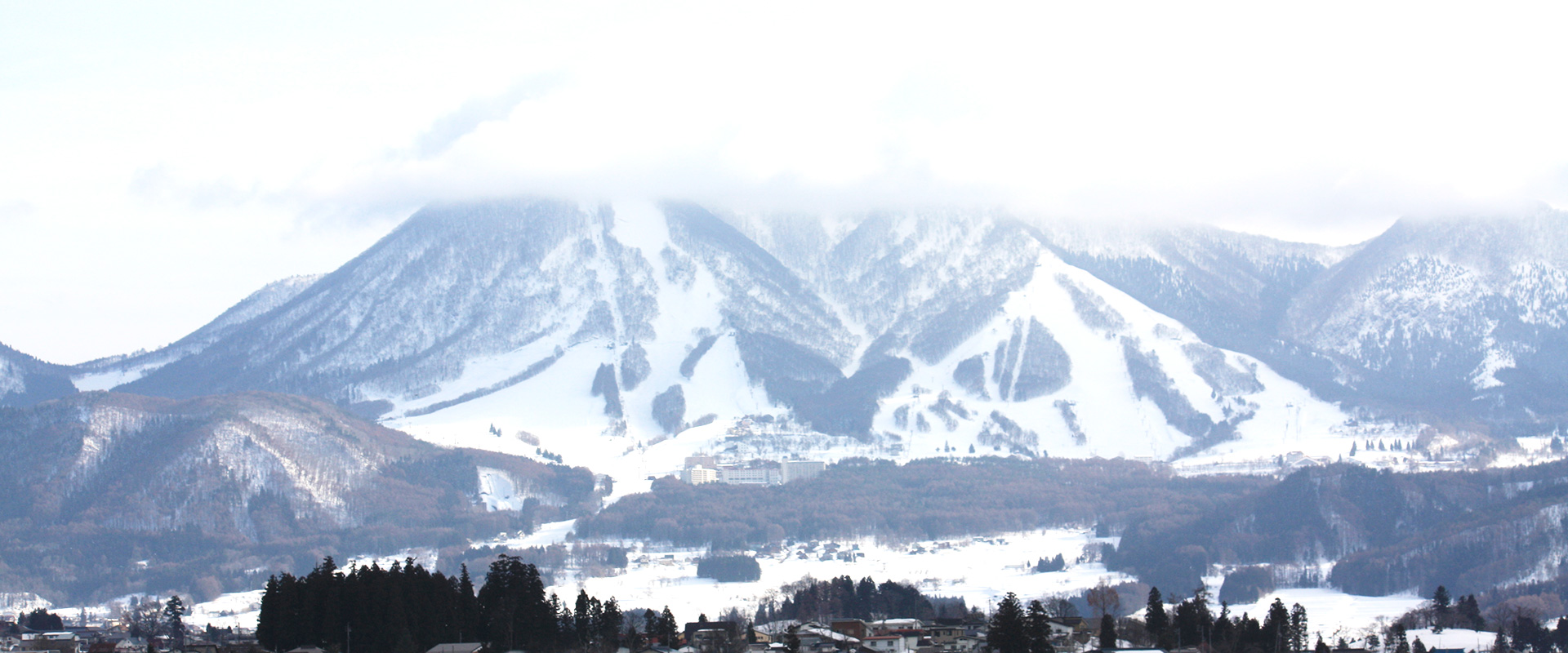 ホワイトシーズンイメージ